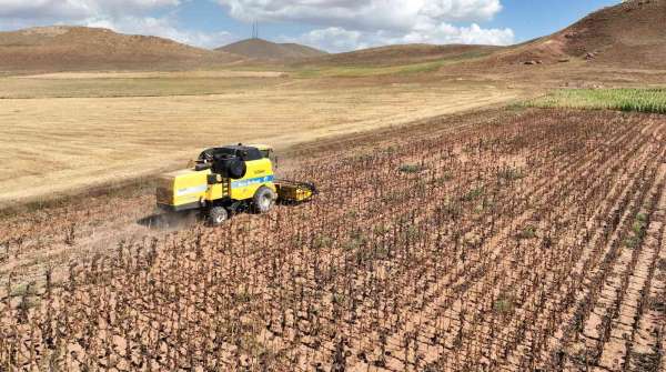 Tarımsal girdi fiyat endeksi yıllık yüzde 138,15, aylık yüzde 2,90 arttı - Erzincan haber