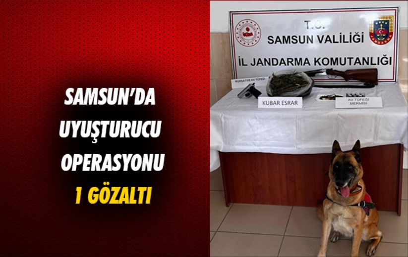 Samsun'da uyuşturucu operasyonu: 1 gözaltı