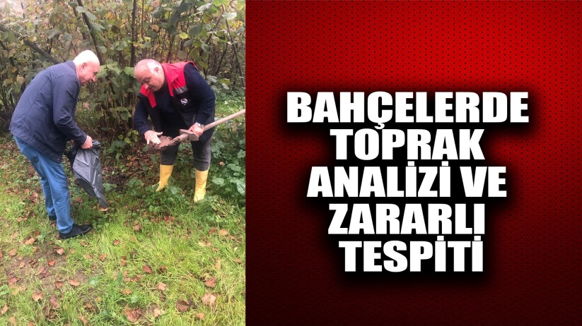 Bahçelerde toprak analizi ve zararlı tespiti