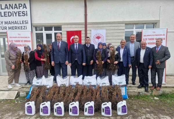 Aslanapa'da 13 kadın çiftçiye yüzde 75 hibeli 7 bin adet ahududu fidanı dağıtıldı