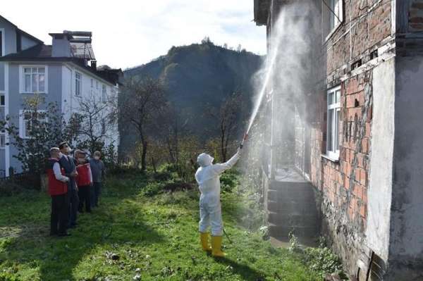 Ordu'da kokarcaya karşı 330 bin kışlak ilaçlanacak
