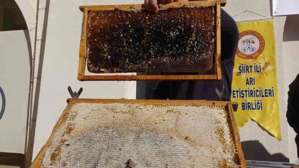 Siirt'te arıcılara 41 milyon 436 bin liralık destek