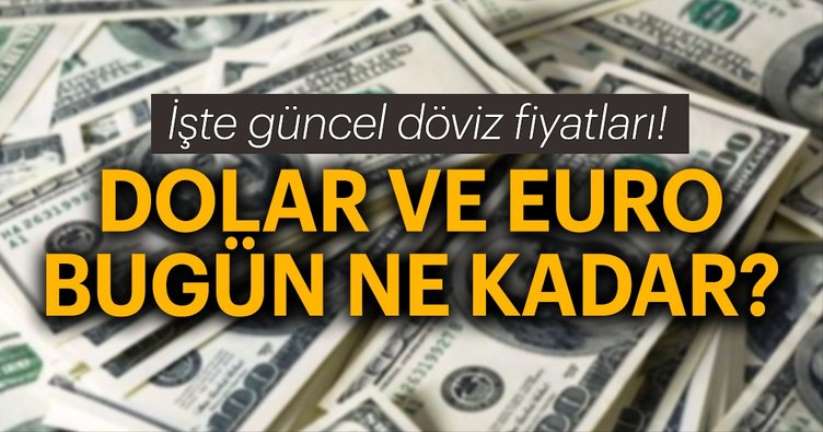2 Kasım Cumartesi Samsun'da Dolar ve Euro fiyatları güncel fiyatlar