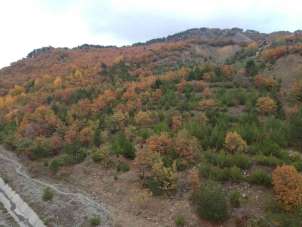 Sinop'ta sonbahar güzelliği