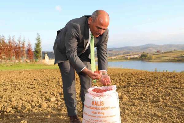 Başkan Söğüt: 'Çiftçimize 37 ton buğday tohumu dağıtacağız' - Kocaeli haber