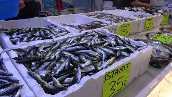 Tezgahlarda balık çeşitliliğinin artmasını bekleyen balıkçıların tek umudu denizlerin soğuması