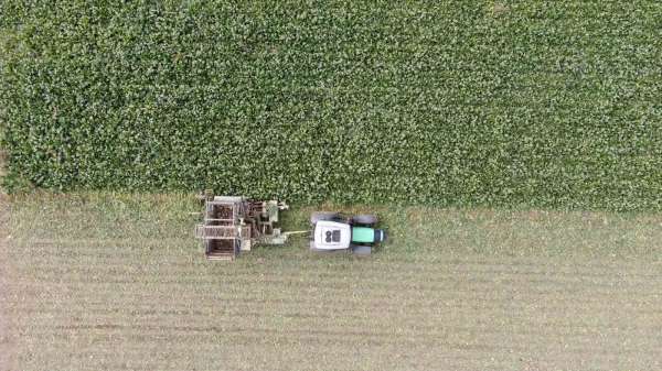 Kastamonu'da çiftçilerin zorlu pancar mesaisi devam ediyor