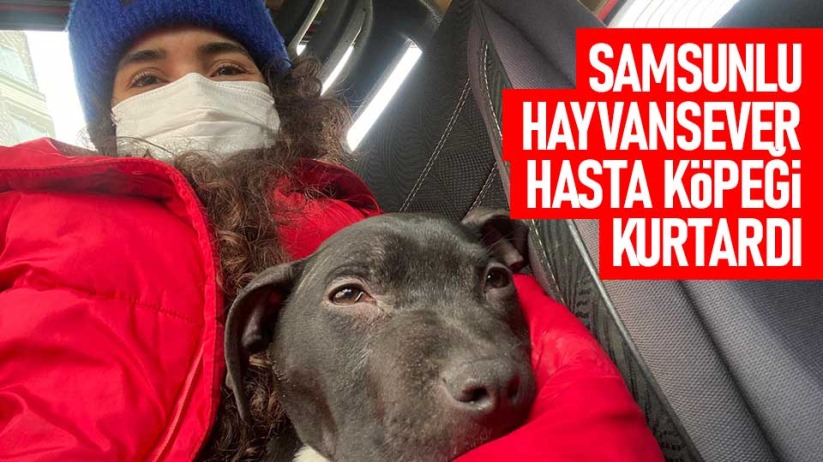 Samsunlu hayvansever hasta köpeği kurtardı