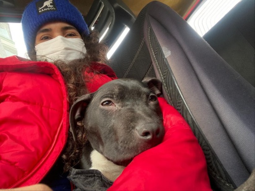 Samsunlu hayvansever hasta köpeği kurtardı