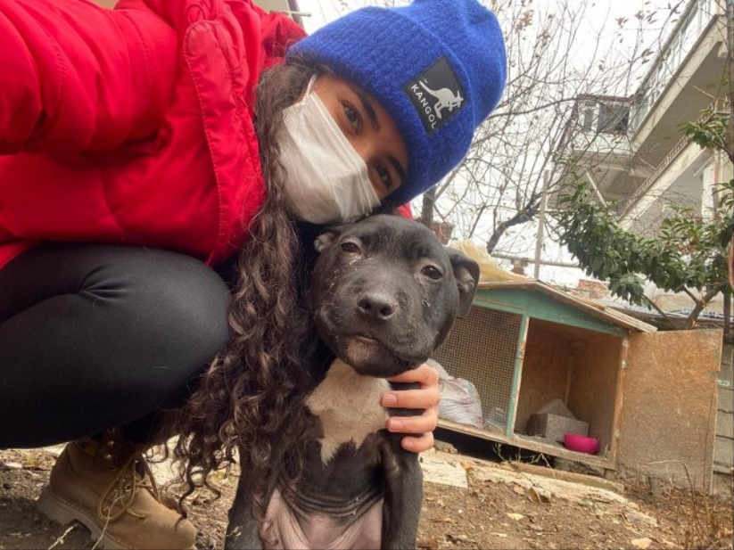 Samsunlu hayvansever hasta köpeği kurtardı