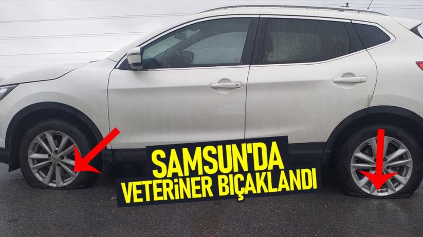 Samsun'da veteriner bıçaklandı