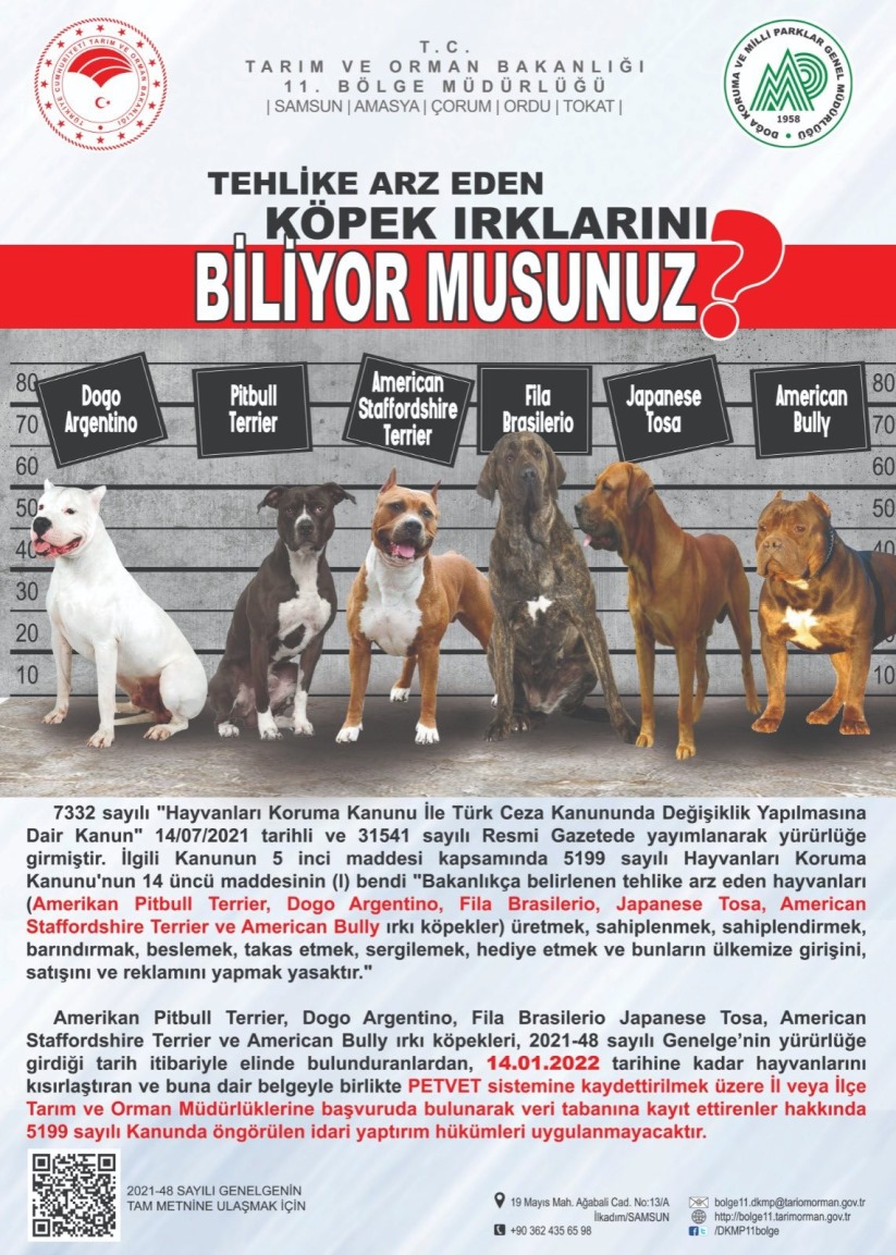 Samsun'da bu ırk köpek sahipleri dikkat! Son tarih 14 Ocak