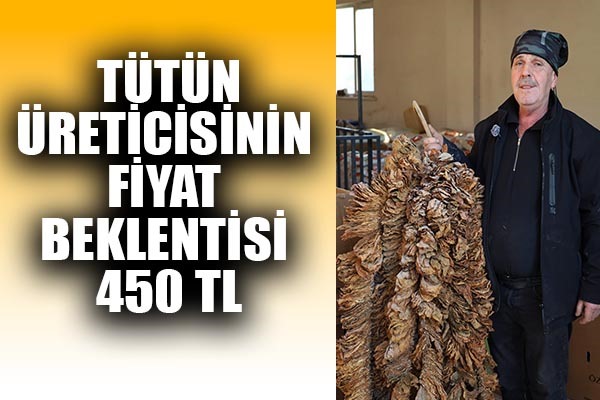 Tütün üreticisinin fiyat beklentisi 450 TL