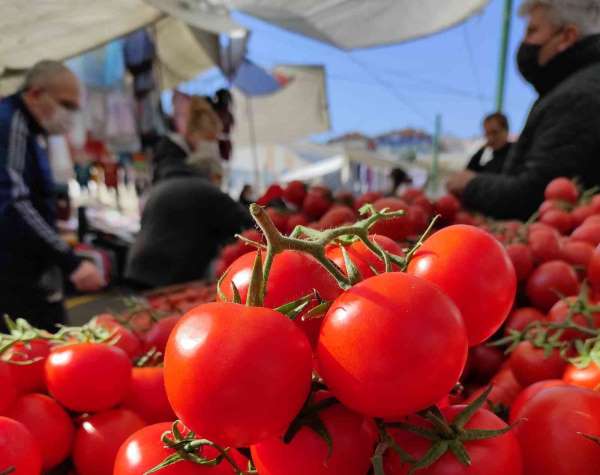 İstanbul'da Kasım ayında en çok domates pahalandı