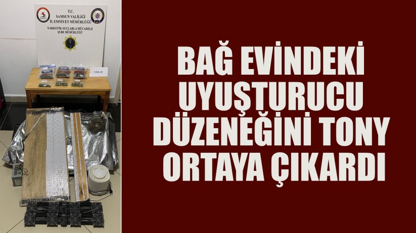 Bağ Evindeki Uyuşturucu Düzeneğini Tony Ortaya Çıkardı