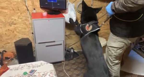 Bağ evindeki uyuşturucu düzeneğini 'Tony' ortaya çıkardı