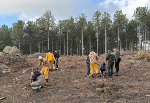 Kırşehir'den gelen üniversite öğrencileri Çine'de fidan dikti