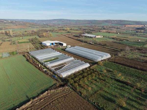 Tekirdağ'da 70 futbol sahası büyüklüğünde sera naylonu dağıtıldı