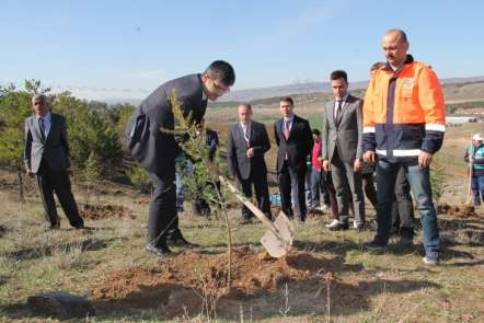 Denetimli serbestlik yükümlüleri fidan dikti 