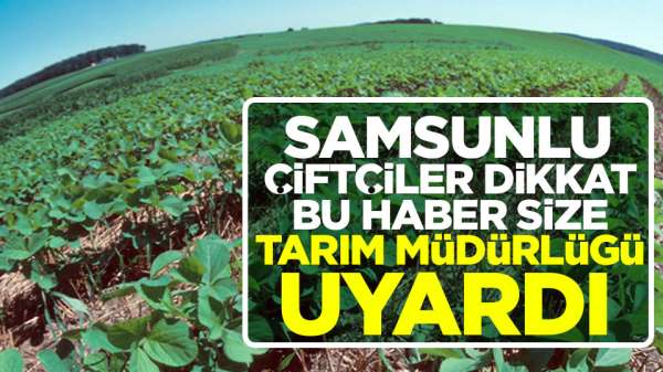 Samsun haber- Samsunlu çiftçiler dikkat Samsun il Tarım uyardı