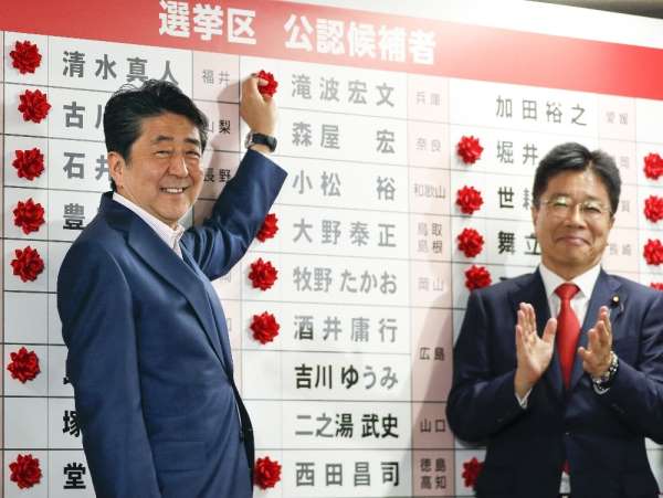 Japonya'da üst meclis seçimlerini Abe kazandı 