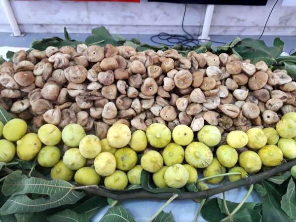Çin'e 3,7 milyon dolar kuru incir ihracatı yapıldı 