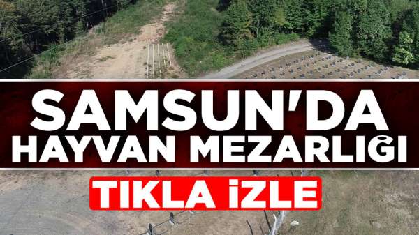 Samsun haberleri: Samsun'da hayvan mezarlığı