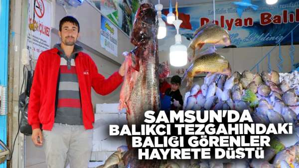Samsun'da balıkçı tezgahındaki balığı görenler hayrete düştü