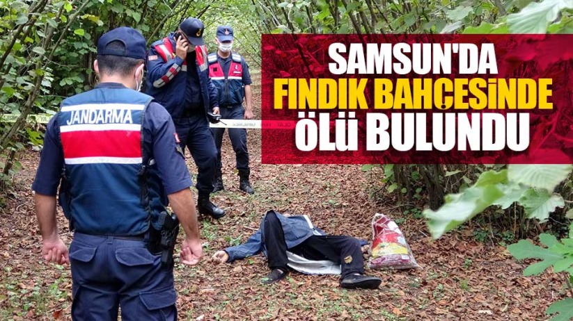 Samsun'da fındık bahçesinde ölü bulundu