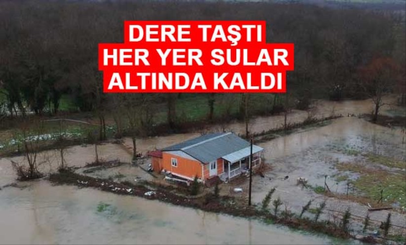 Dere taştı, tarım arazileri sular altında kaldı - Sinop haber