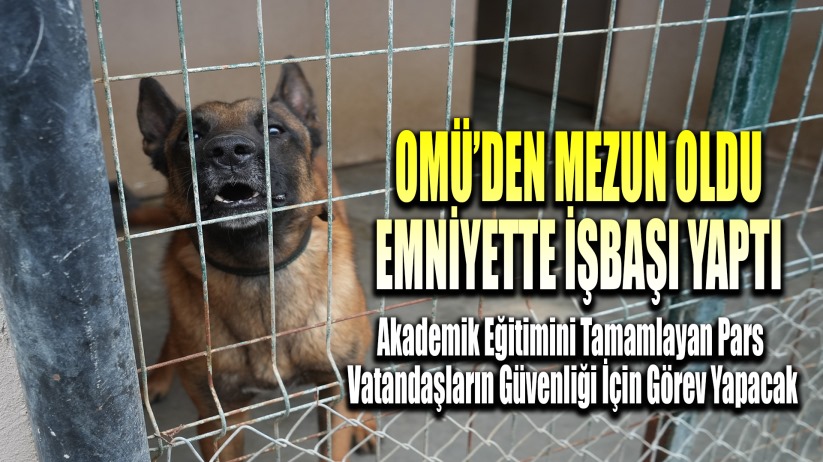 OMÜ'den Mezun Oldu, Emniyette İşbaşı Yaptı