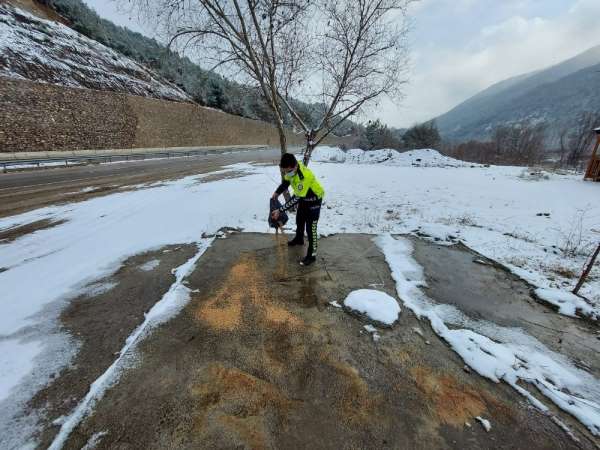 Amasya'da polisler, yaban hayvanları için doğaya yem ve ekmek bıraktı 