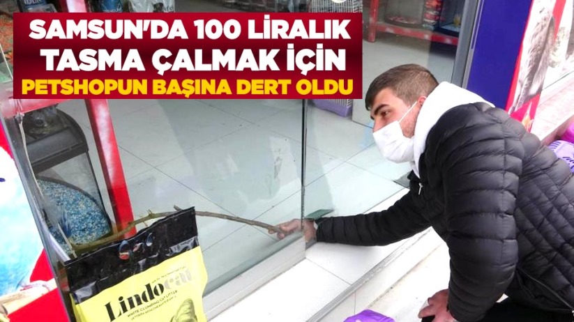 Samsun'da 100 liralık tasma çalmak için petshopun başına dert oldu 