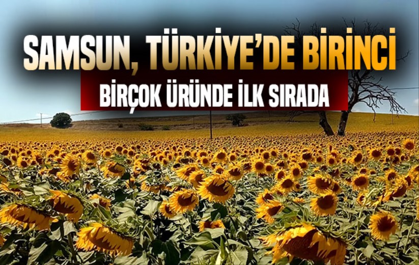 Samsun, Türkiye'de tarımsal üretimin yıldızı