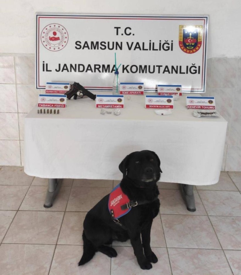 Samsun'da Jandarmadan silah ve uyuşturucu operasyonu: 3 gözaltı