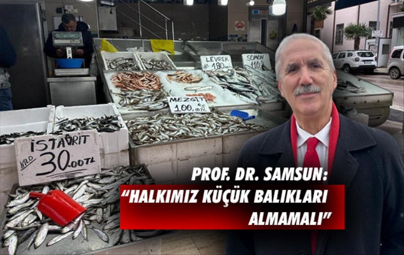 Prof. Dr. Samsun: 'Halkımız küçük balıkları almamalı'