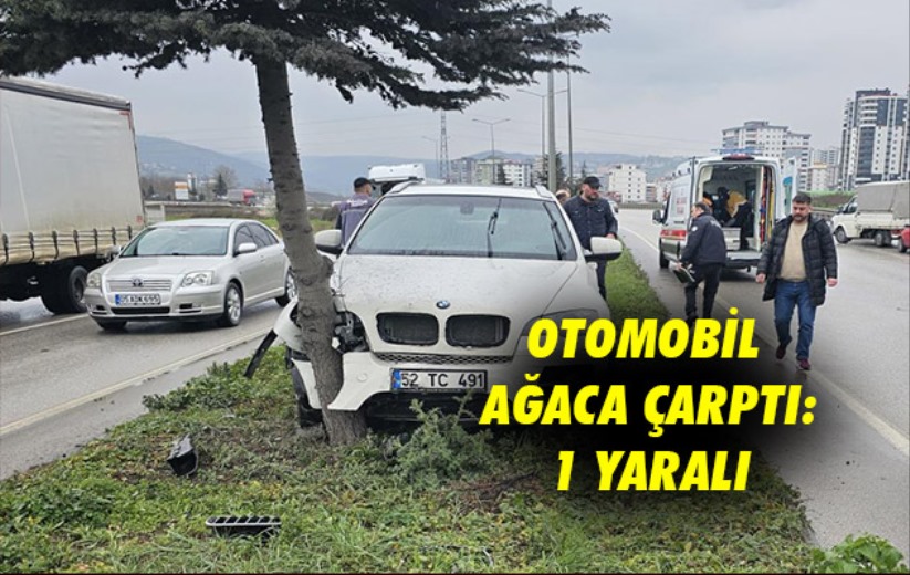 Samsun'da otomobil ağaca çarptı: 1 yaralı