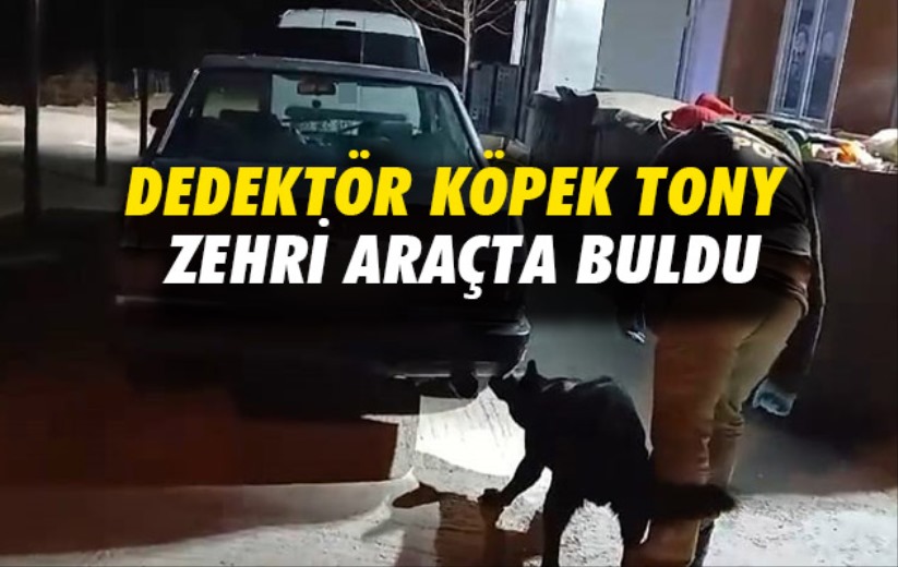 Dedektör köpek Tony zehri araçta buldu