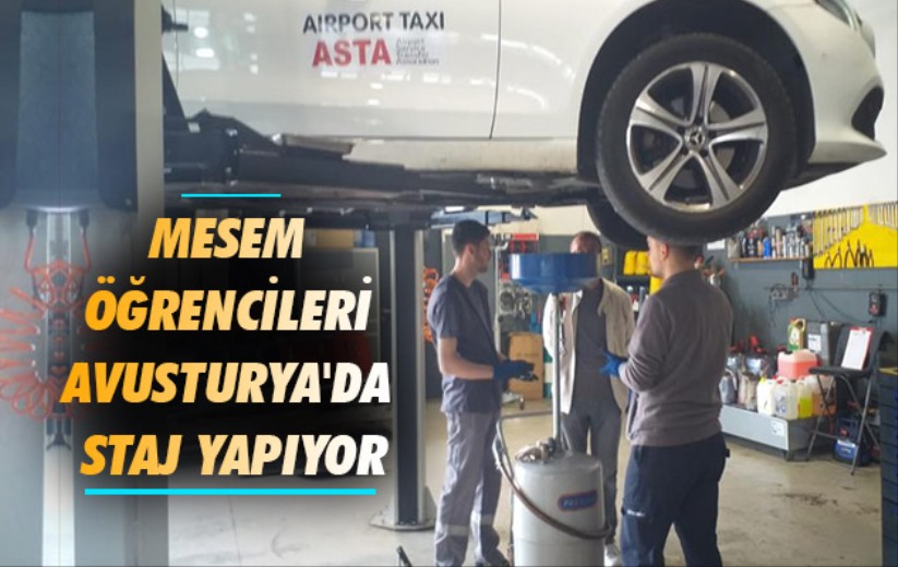 MESEM öğrencileri Avusturya'da staj yapıyor