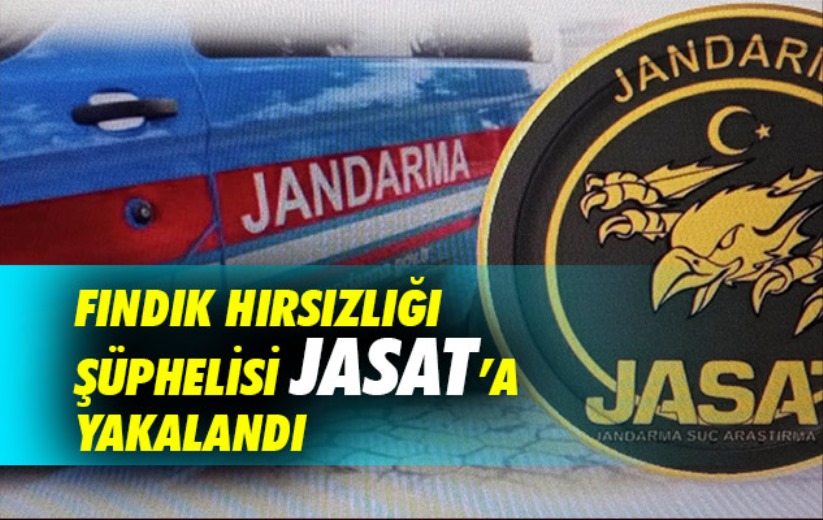 Samsun'da fındık hırsızlığı şüphelisi JASAT'a yakalandı