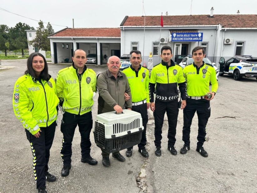 Samsun'da Polisin yaralı halde bulduğu doğan koruma altına alındı