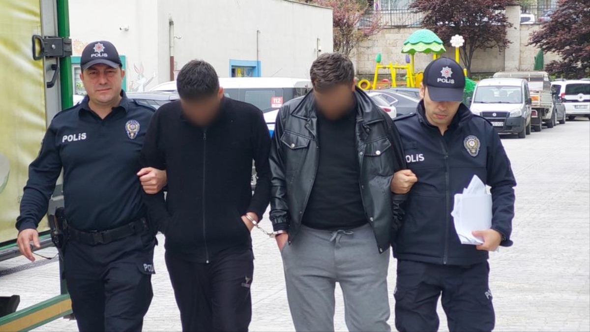 Samsun'da koyun hırsızlığından gözaltına alındılar gerçekler ortaya çıkınca serbest kaldılar