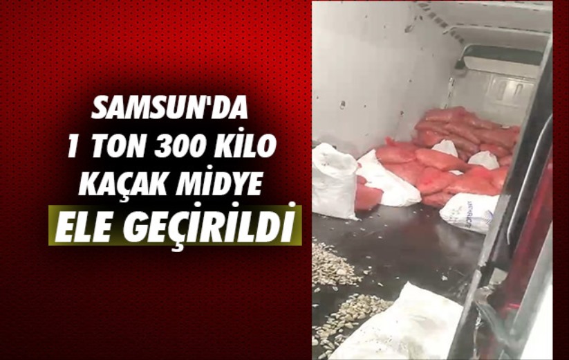 Samsun'da 1 ton 300 kilo kaçak midye ele geçirildi