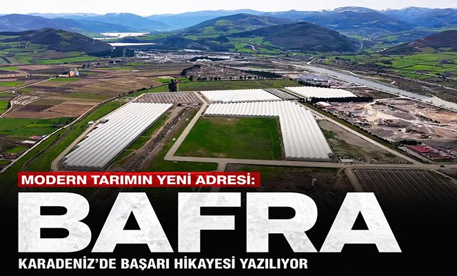 Modern tarımın yeni adresi Bafra: Karadeniz'de başarı hikayesi yazılıyor