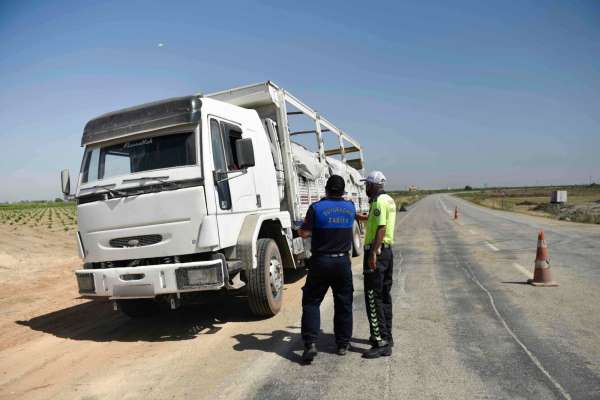 Adana'da kelek karpuz denetimi