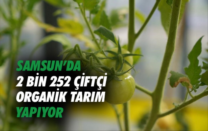Samsun'da 2 bin 252 çiftçi organik tarım yapıyor