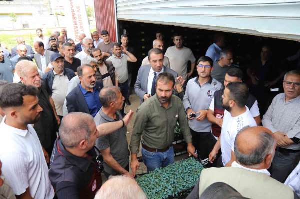 Bingöl'de üreticilere 442 bin sebze fidesi dağıtıldı
