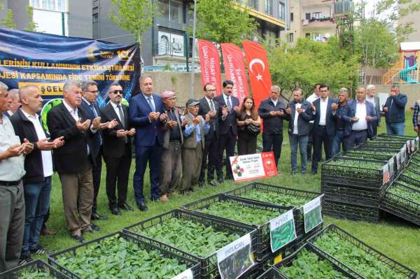 Şırnak'ta 252 üreticiye sebze fidesi dağıtıldı