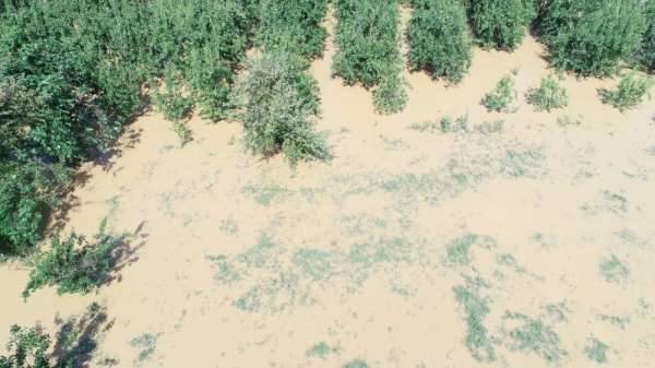 Afet bölgesinde binlerce dönüm tarım arazisi sular altında... 