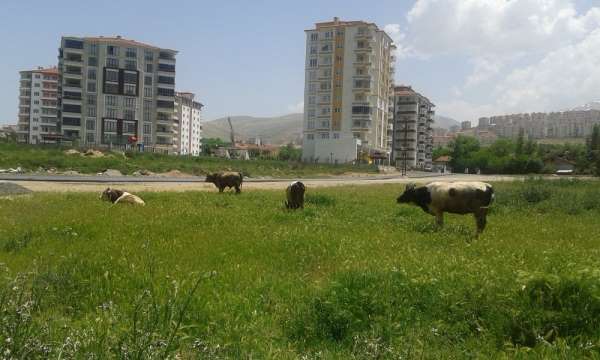 Çiftçi proje başvuruları 7 Temmuz'a uzatıldı
